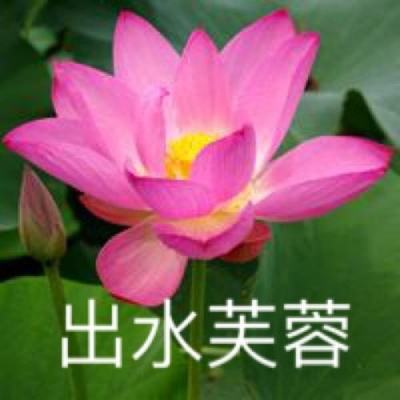 辣么大佬洞手机版下载